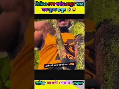 This boy got his leg stuck while cutting a tree"🤣😂#funny #funnyshorts #funnyvideos #shortvideos