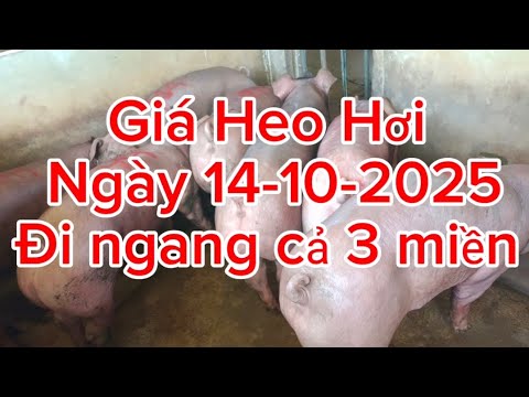 Đi ngang cả 3 miền