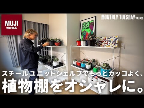 【植物棚】無印良品のスチールユニットシェルフでアガベの植物育成棚を作る！