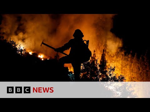 Wildfires in Hawaii, Canada and Tenerife cause concern - BBC News