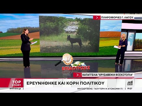 ΟΠΕΚΕΠΕ: Ερευνήθηκε και κόρη πολιτικού