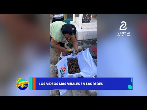 Extraño ritual del Día de los Difuntos en México