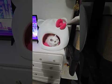 Feeding Time !!! is live!