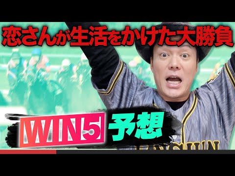 【今週は菊花賞!】恋さんのWIN5予想を発表!