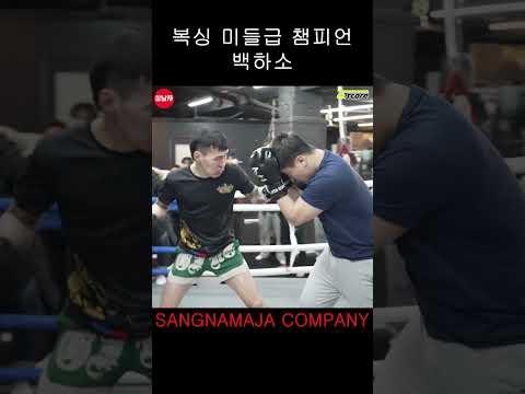 복싱 미들급 챔피언의 무빙