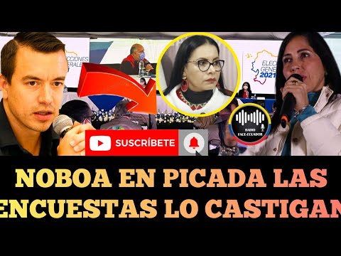 NOBOA CAE EN PICADA ENCUESTAS CONFIRMAN NO GANARIA LAS ELECCIONES DEL 2025 NOTICIAS RFE TV