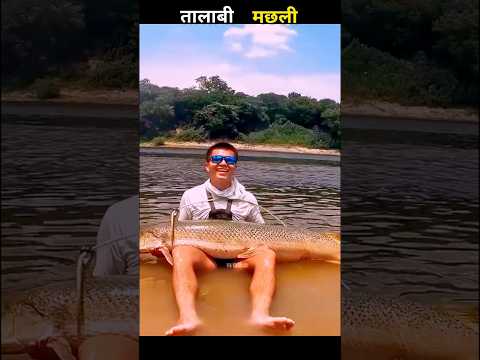 तालाबंदी मछली 😱 #aivideo #fishing #fascinatinginformation #amazingfacts #fishinglife #youtubeshorts