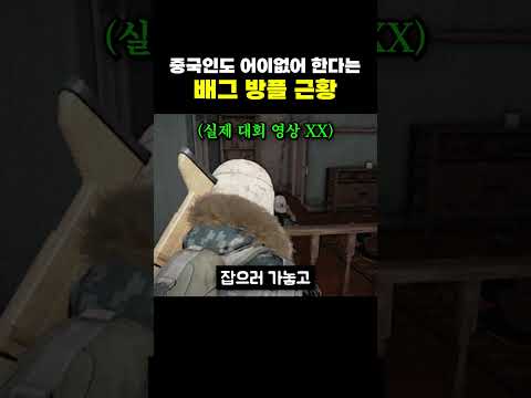 <strong>중국인도</strong> 어이없어한다는 배그 방플 근황