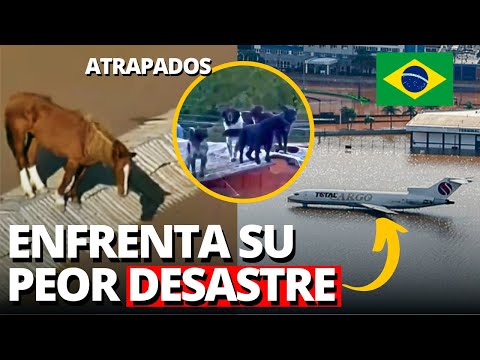 BRASIL: ANIMALES ATRAPADOS E INUNDACIONES LLEGAN A AEROPUERTO | LATINA EN VIVO