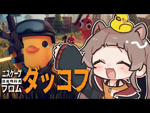 【エスケープ フロム ダッコフ】おはぐわ！農園？行きたい！！【ホロライブ/夏色まつり】