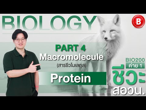 ABIG CENTER ทดลองเรียนBiO200สอวน.ชีวะค่าย1สอนโดยพี่กิตPart4Macromolecule