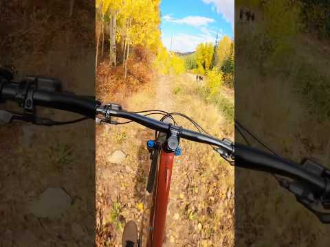 Is Fall The Best Time To Ride? 🤔