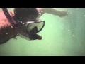 id261-Plavání pod vodou