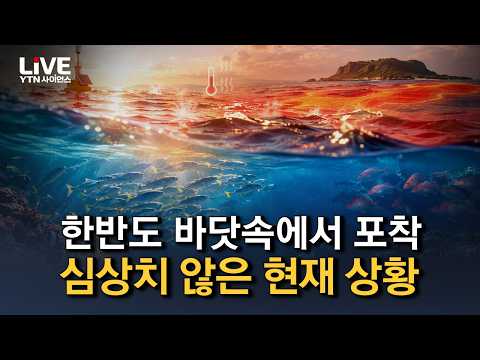 제주 바다 물고기가 100km 북상! 한반도 바다가 완전히 달라졌다 [반복재생] / YTN 사이언스