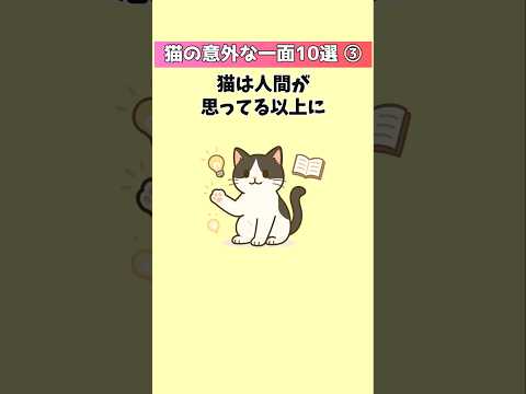 猫の意外な能力を知ろう！驚きの特技と新たな魅力を解説 サムネイル