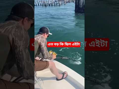 এত বড় কি ছিল এইটা। #duet #edms #sellfy #shortvideos #new #facts #phonkagressive #islam #fishing