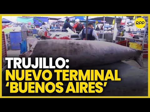 Trujillo: Nuevo terminal 'Buenos Aires' ofrece gran variedad de pescados