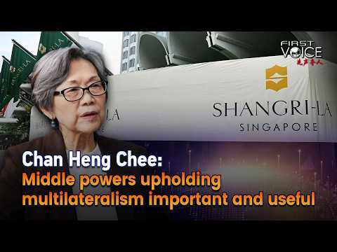 Chan Heng Chee: Middle powers upholding multilateralism important and useful