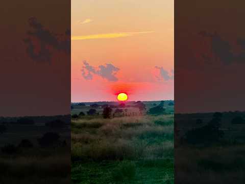 Compartilhando essa pintura de Deus!!!😭🙌🏼🙏🏼 Deus é Extraordinário!!!! Ele é Magnifico!!!