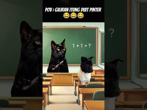 Pov : Giliran Duit Aja 😂 # meme #cat #kucing #animation #fypシ