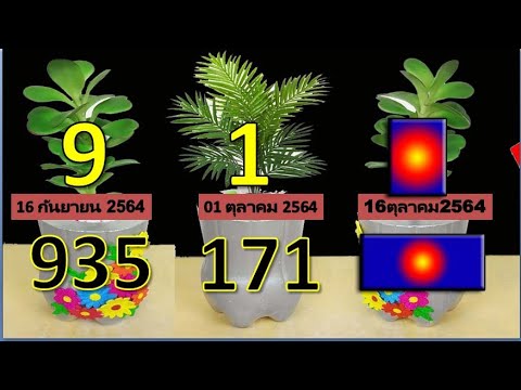 ของสะสมสำหรับเลขเด็ดประจำวันที ของสะสมสำหรับเลขเด็ดประจำวันที