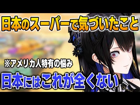 日本にとあるものが全く売っていないことに気がつくネリッサ【英語解説】【日英両字幕】