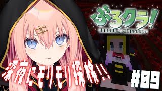 【マイクラ/ぶろクラ】深夜にチルチルモリモリ冒険！ #9【メリアラコーン/Vtuber】