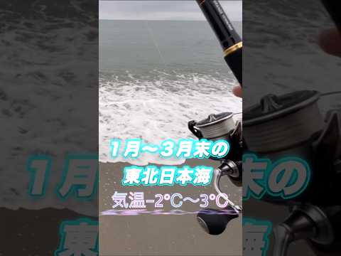 冬も頑張る人を應援します #釣り #東北