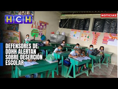 Defensores de DDHH alertan sobre deserción escolar; Educación asegura que meta de matrícula