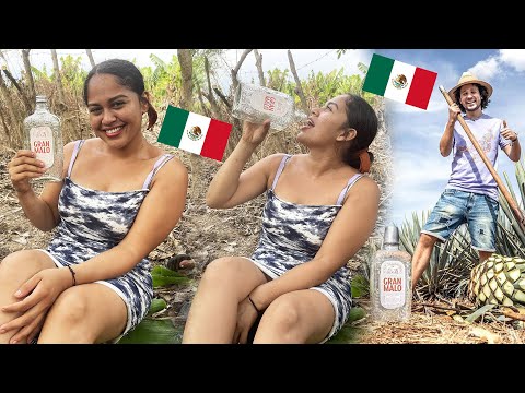 Chica Salvadoreña Reaccionando por Primera Vez - TEQUILA MEXICANO GRAN MALO / Savor a Tamarindo