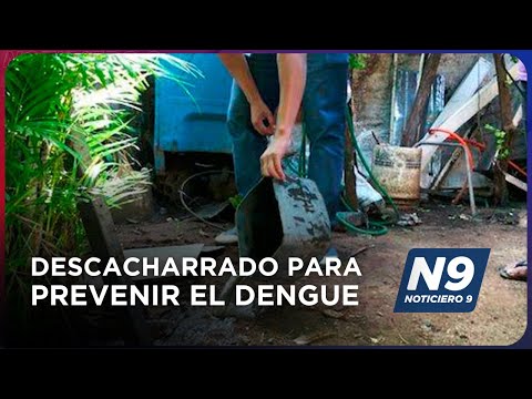 DESCACHARRADO PARA PREVENIR EL DENGUE - NOTICIERO 9