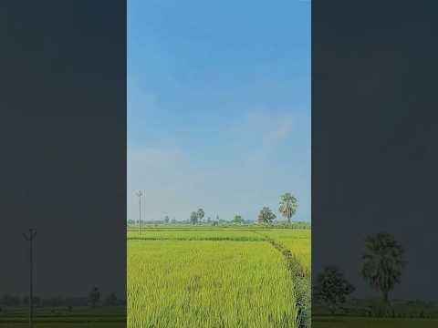 #farming #farmer #agriculture #trending #nature #song #viral #villagelife #famous #🌱#india #tg #ap #