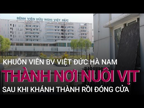 Khánh thành rồi đóng cửa, khuôn viên BV Việt Đức Hà Nam thành nơi nuôi vịt | VTC Now