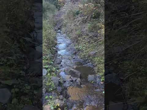 Як впливає погана екологія на природу