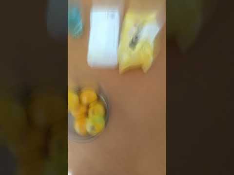 ぴょこちゃんの旅行#モモンガ#そろそろ寿司を食べないと死ぬぜ