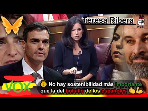 ? Pepa Millán  No hay sostenibilidad más importante que la del  BOLSILLO de los españoles.