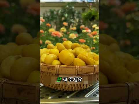 산에서 온 <strong>꿀밤</strong> 디저트