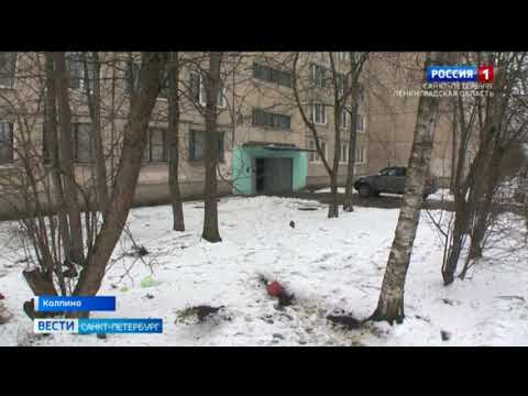 В Колпино взорвался самогонный аппарат