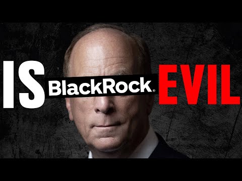 The Man Who Runs The World - BlackRocks Rise To Power