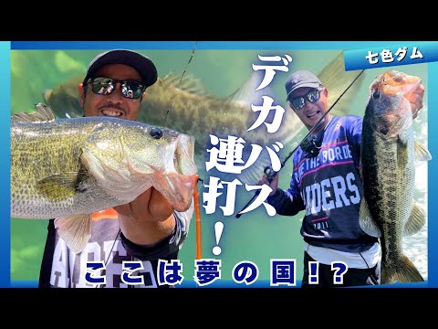 ビッグバスを追え！猛暑の七色ダムに挑む‼【ルアー合衆国】金森隆志・岡友成
