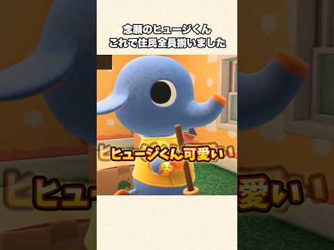 【あつ森】離島ガチャラスト住民！念願のヒュージにやっと会えた！【あつまれどうぶつの森】#shorts #あつ森