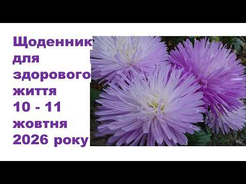 Щоденник важливих справ на городі, в садочку, на квітнику, для здоров'я 10-11 жовтня 2026 року