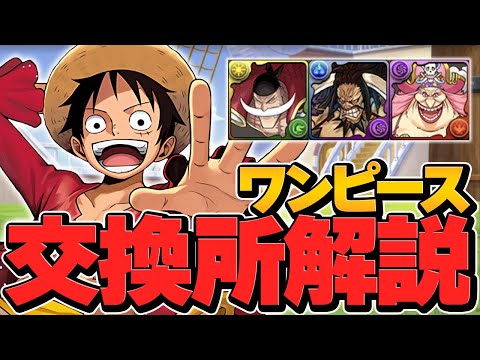 絶対に損しないワンピース交換所解説！最強キャラは何体確保？徹底解説！【パズドラ】