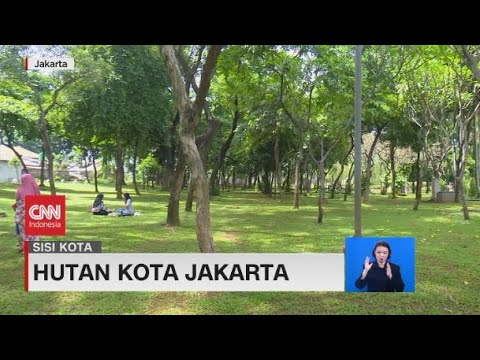 Hutan Kota Jakarta