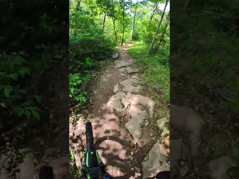 Bentonville MTB Oscar blue line #mtb #mountainbiking