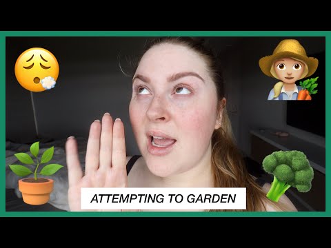 starting a veggie garden ? Vlog 721