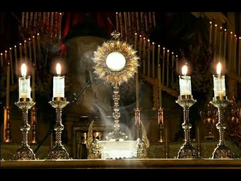 CINCO MINUTOS CON JESUS SACRAMENTADO  Jueves 22 de Agosto de 2024