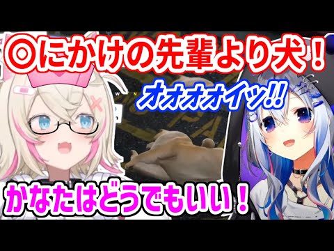 【#ホロGTA】大怪我してるかなた先輩より飼い犬を優先するフワモコ【ホロライブ切り抜き/フワモコ/天音かなた】