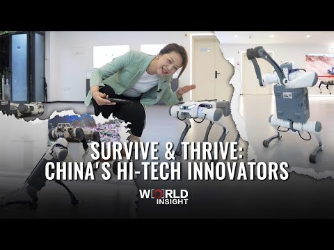Survive & thrive: China's hi-tech innovators