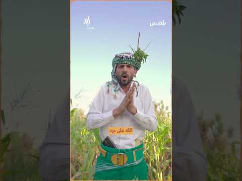 قناة بلقيس الفضائية